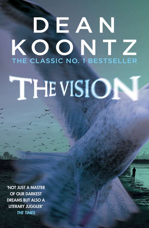 Book cover of The Vision: A gripping thriller of spine-tingling suspense (Bride Series)