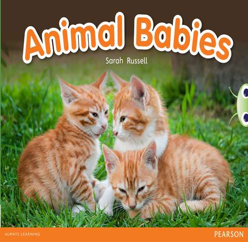 Book cover of Bug Club, Red B: Animal Babies (PDF)
