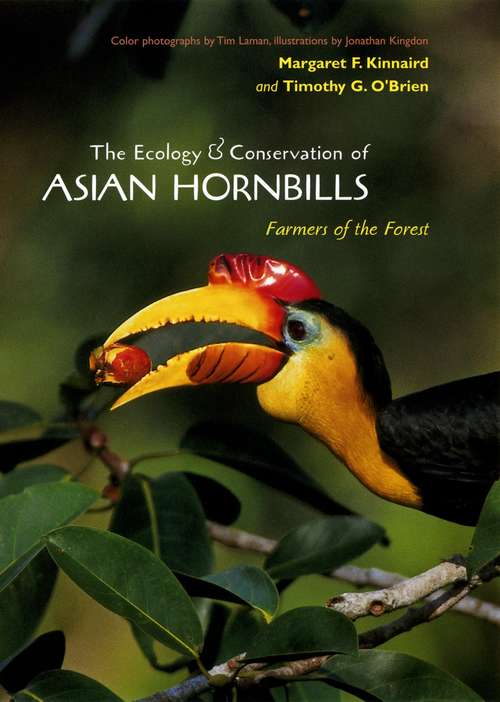 Book cover of The Ecology and Conservation of Asian Hornbills: Farmers of the Forest