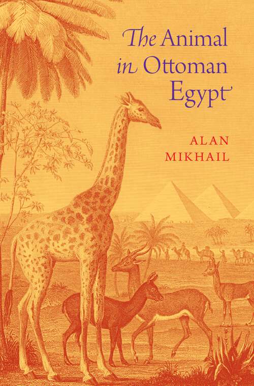 Book cover of The Animal in Ottoman Egypt