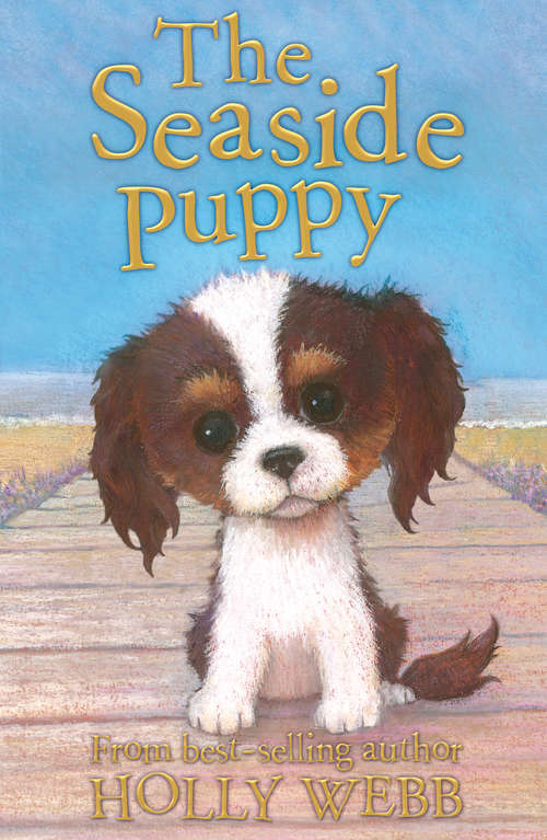 Book cover of The Seaside Puppy (Holly Webb Animal Stories #33)