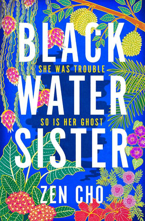 Book cover of Black Water Sister
