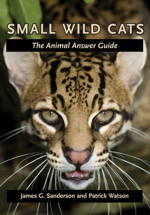 Book cover of Small Wild Cats: The Animal Answer Guide (The Animal Answer Guides: Q&A for the Curious Naturalist)