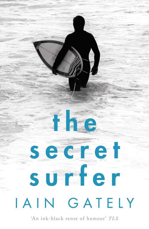 Book cover of The Secret Surfer