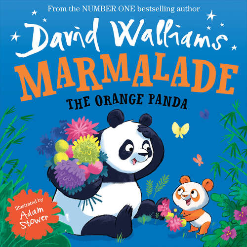 Book cover of Marmalade: The Orange Panda