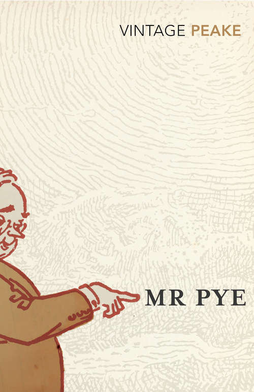 Book cover of Mr Pye