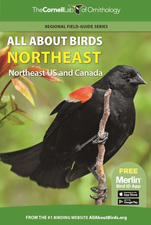 Book cover of All About Birds Northeast: Northeast US and Canada (Cornell Lab of Ornithology)