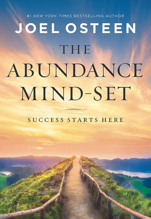 Book cover of The Abundance Mind-Set: Success Starts Here