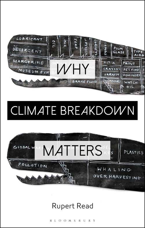 Book cover of Why Climate Breakdown Matters (Why Philosophy Matters)