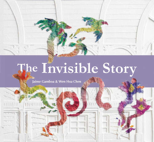 Book cover of The Invisible Story