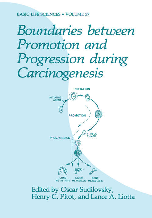 Book cover of Boundaries between Promotion and Progression during Carcinogenesis (1991) (Basic Life Sciences #57)