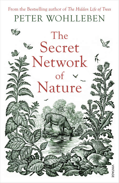 Book cover of The Secret Network of Nature: The Delicate Balance of All Living Things