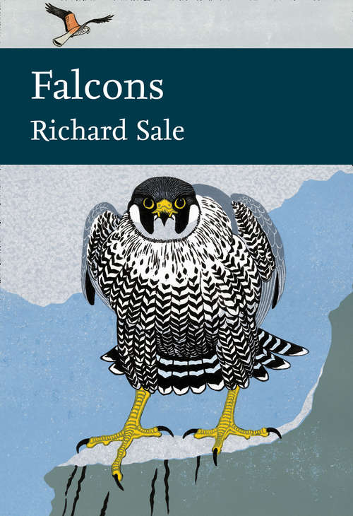 Book cover of Falcons (ePub edition) (Collins New Naturalist Library #132)