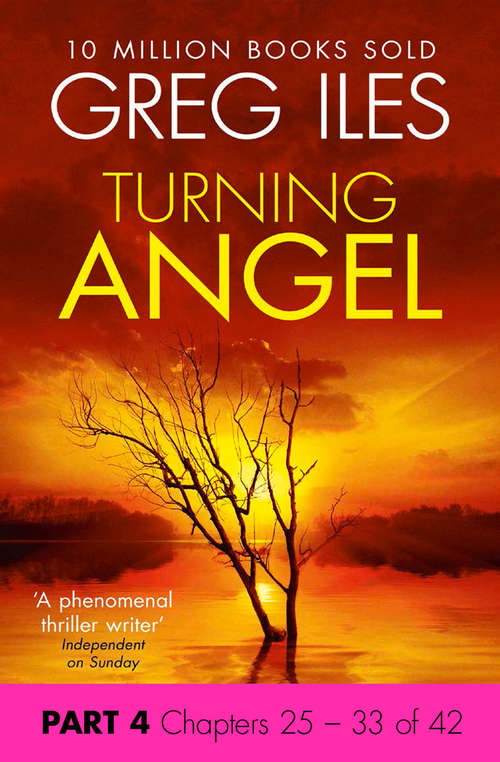Book cover of Turning Angel: Part 4, Chapters 25 to 33 (ePub edition)