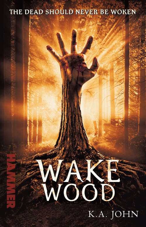 Book cover of Wake Wood
