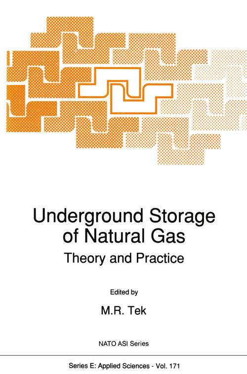 Book cover of Underground Storage of Natural Gas: Theory and Practice (1989) (NATO Science Series E: #171)