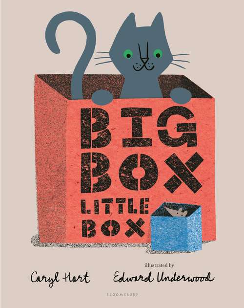 Book cover of Big Box Little Box