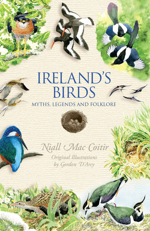 Book cover of Ireland's Birds: Myths, Legends And Folklore