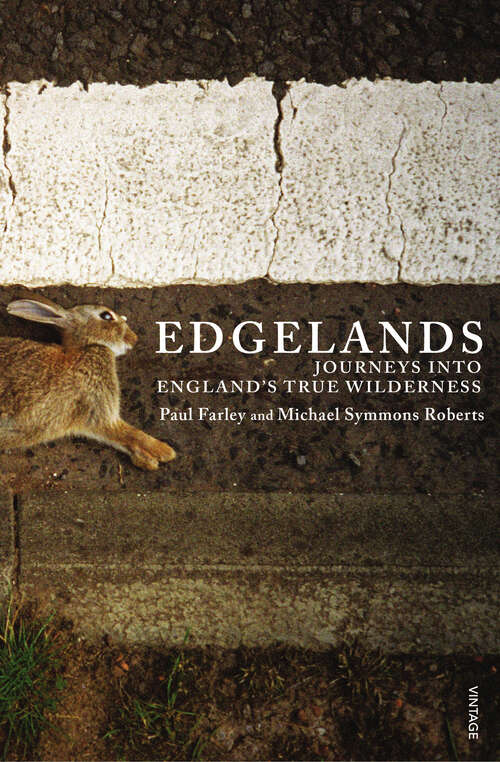 Book cover of Edgelands: Journey Into England's True Wilderness