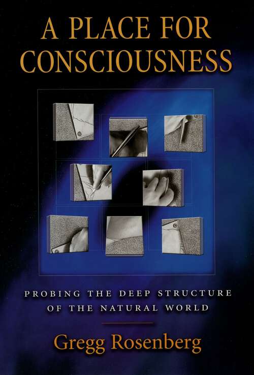 Book cover of A Place for Consciousness: Probing the Deep Structure of the Natural World (Philosophy of Mind)