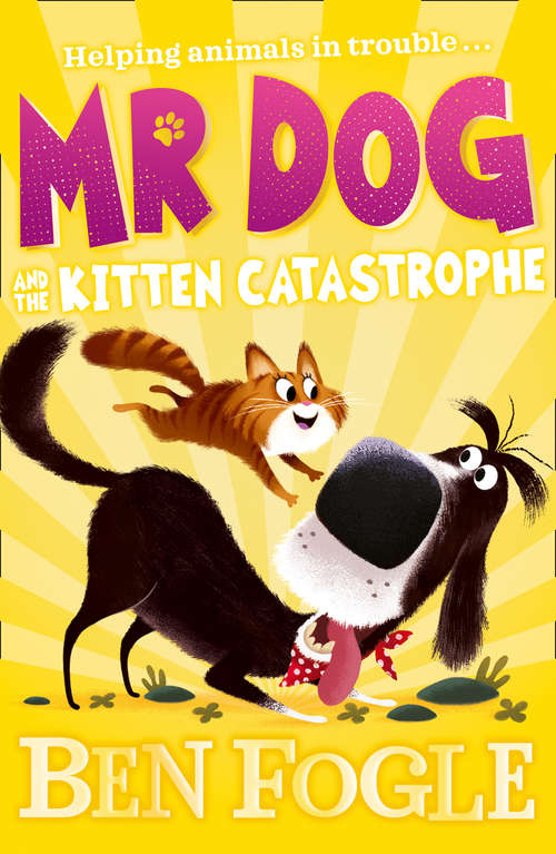 Book cover of Mr Dog and the Kitten Catastrophe (Mr Dog)