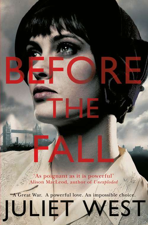 Book cover of Before the Fall