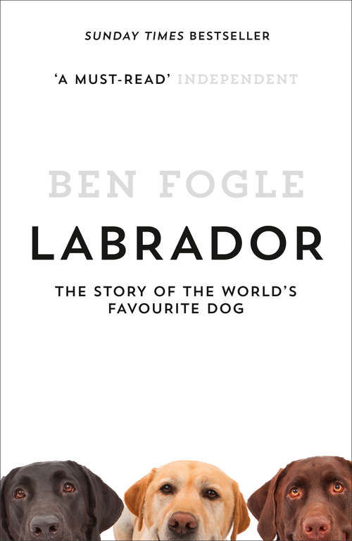 Book cover of Labrador: The Complete History Of The World's Favourite Dog (ePub edition)