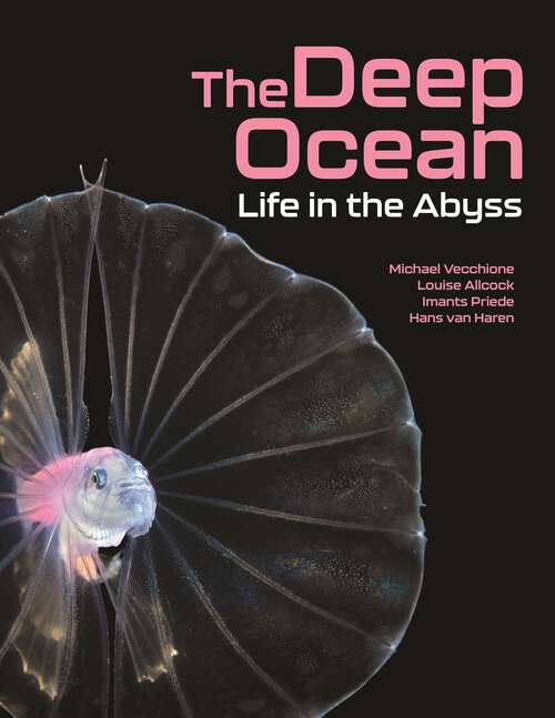 Book cover of The Deep Ocean: Life in the Abyss