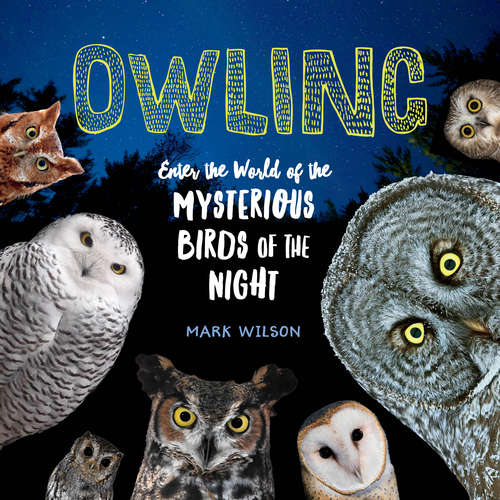 Book cover of Owling: Enter the World of the Mysterious Birds of the Night