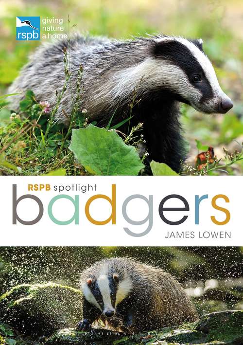 Book cover of RSPB Spotlight: Badgers (RSPB)