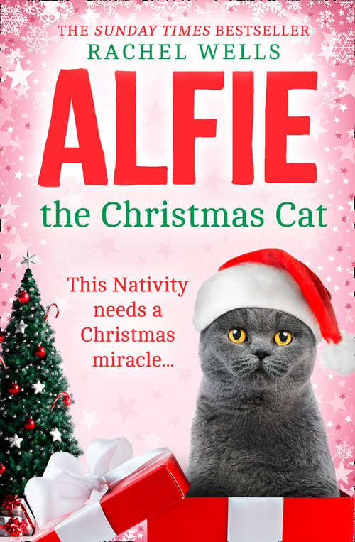 Book cover of Alfie the Christmas Cat (Alfie series #7)