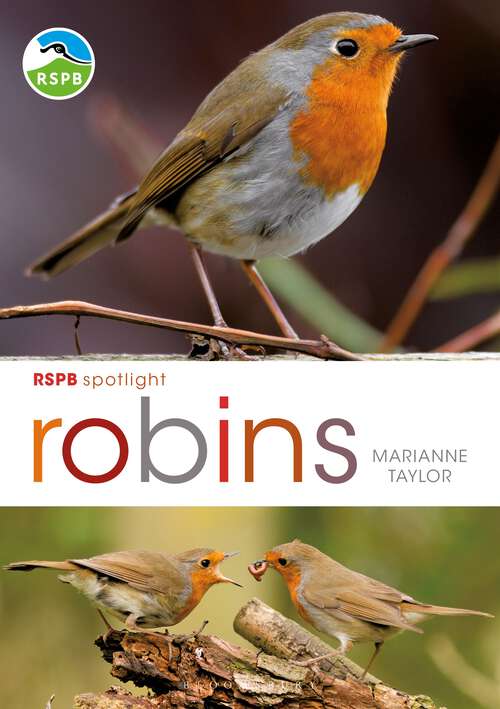 Book cover of RSPB Spotlight: Robins (RSPB)