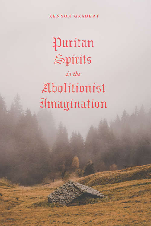 Book cover of Puritan Spirits in the Abolitionist Imagination (American Beginnings, 1500-1900)