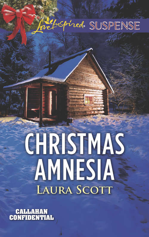 Book cover of Christmas Amnesia: Christmas Amnesia Thanksgiving Protector Framed For Murder (ePub edition) (Callahan Confidential #3)