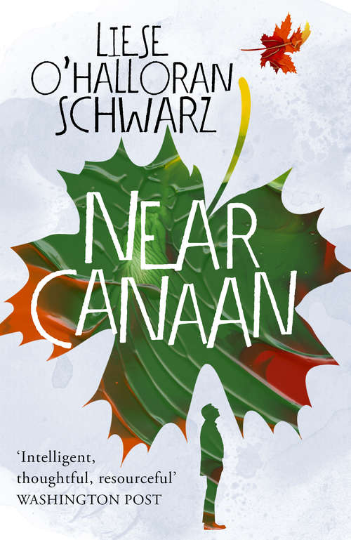 Book cover of Near Canaan
