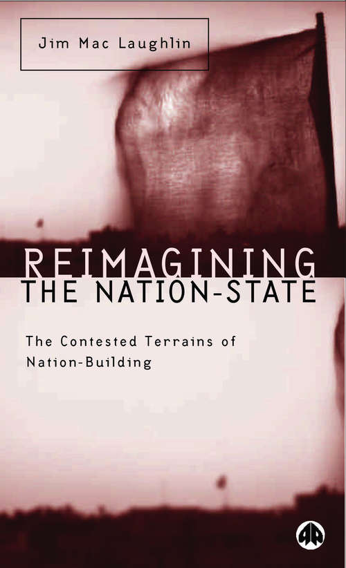 Book cover of Reimagining the Nation-State: The Contested Terrains of Nation-Building