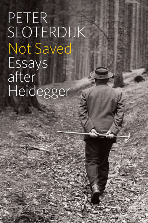 Book cover of Not Saved: Essays After Heidegger