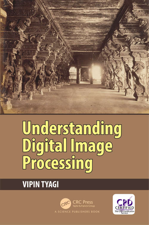Book cover of Understanding Digital Image Processing