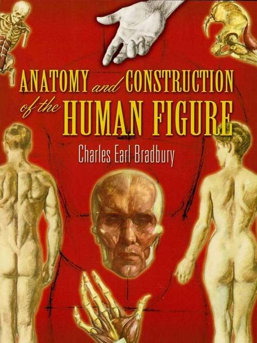 Book cover of Anatomy and Construction of the Human Figure