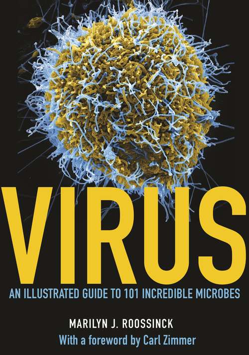 Book cover of Virus: An Illustrated Guide to 101 Incredible Microbes