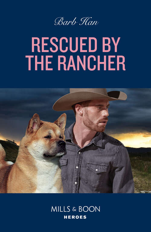 Book cover of Rescued By The Rancher: Set Up In The City (a Colt Brothers Investigation) / Rescued By The Rancher (the Cowboys Of Cider Creek) (ePub edition) (The Cowboys of Cider Creek #1)