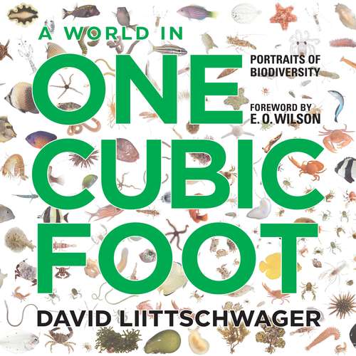 Book cover of A World in One Cubic Foot: Portraits of Biodiversity