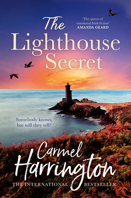Book cover of The Lighthouse Secret