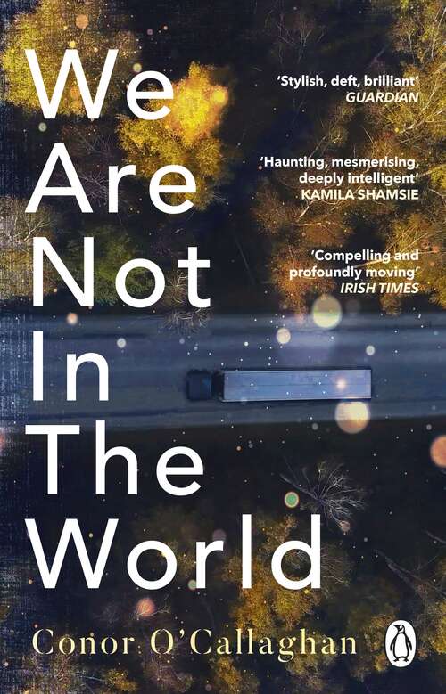 Book cover of We Are Not in the World: ‘compelling and profoundly moving’ Irish Times