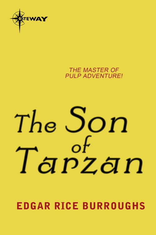 Book cover of The Son of Tarzan: Fouth Novel Of The Tarzan Series (TARZAN #4)
