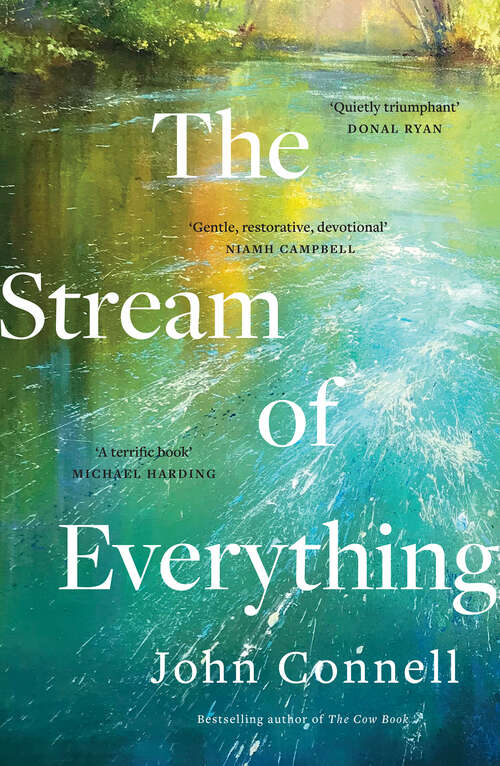 Book cover of The Stream of Everything