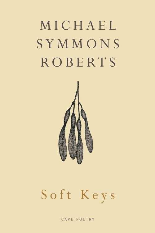 Book cover of Soft Keys