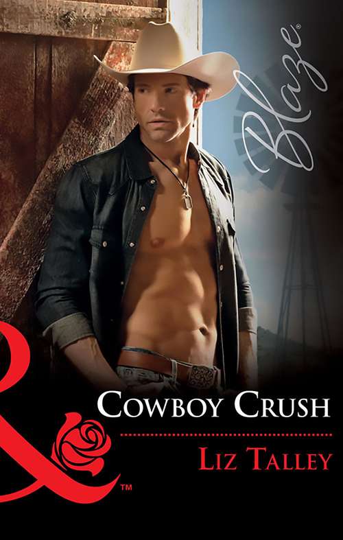 Book cover of Cowboy Crush: A Seal's Touch One Sizzling Night Cowboy Crush Naked Pursuit (ePub edition) (Mills And Boon Blaze Ser.)