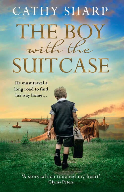 Book cover of The Boy with the Suitcase