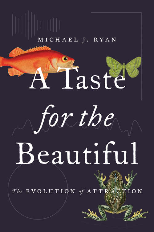 Book cover of A Taste for the Beautiful: The Evolution of Attraction